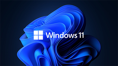 ‘ Microsoft® Windows 11 Pro